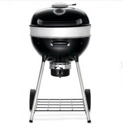 Parrilla de carbón Napoleon PRO22