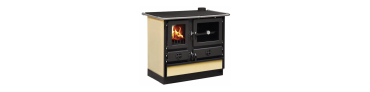 Wood-burning stove